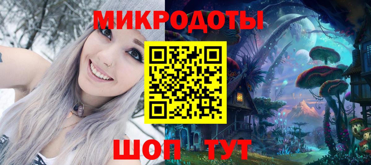 Галлюциногенные грибы Psilocybe  Вход с VPN  Санкт-Петербург 