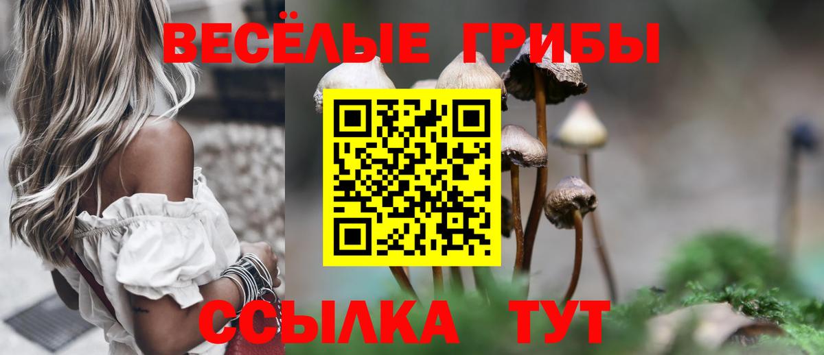 Псилоцибиновые грибы MAGIC MUSHROOMS Санкт-Петербург